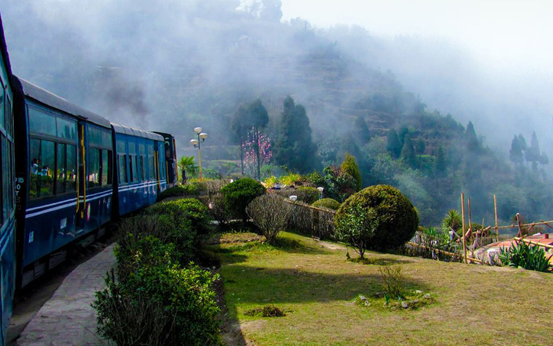 Darjeeling Tour
